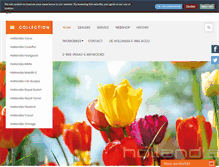 Tablet Screenshot of hollandiafietsen.nl